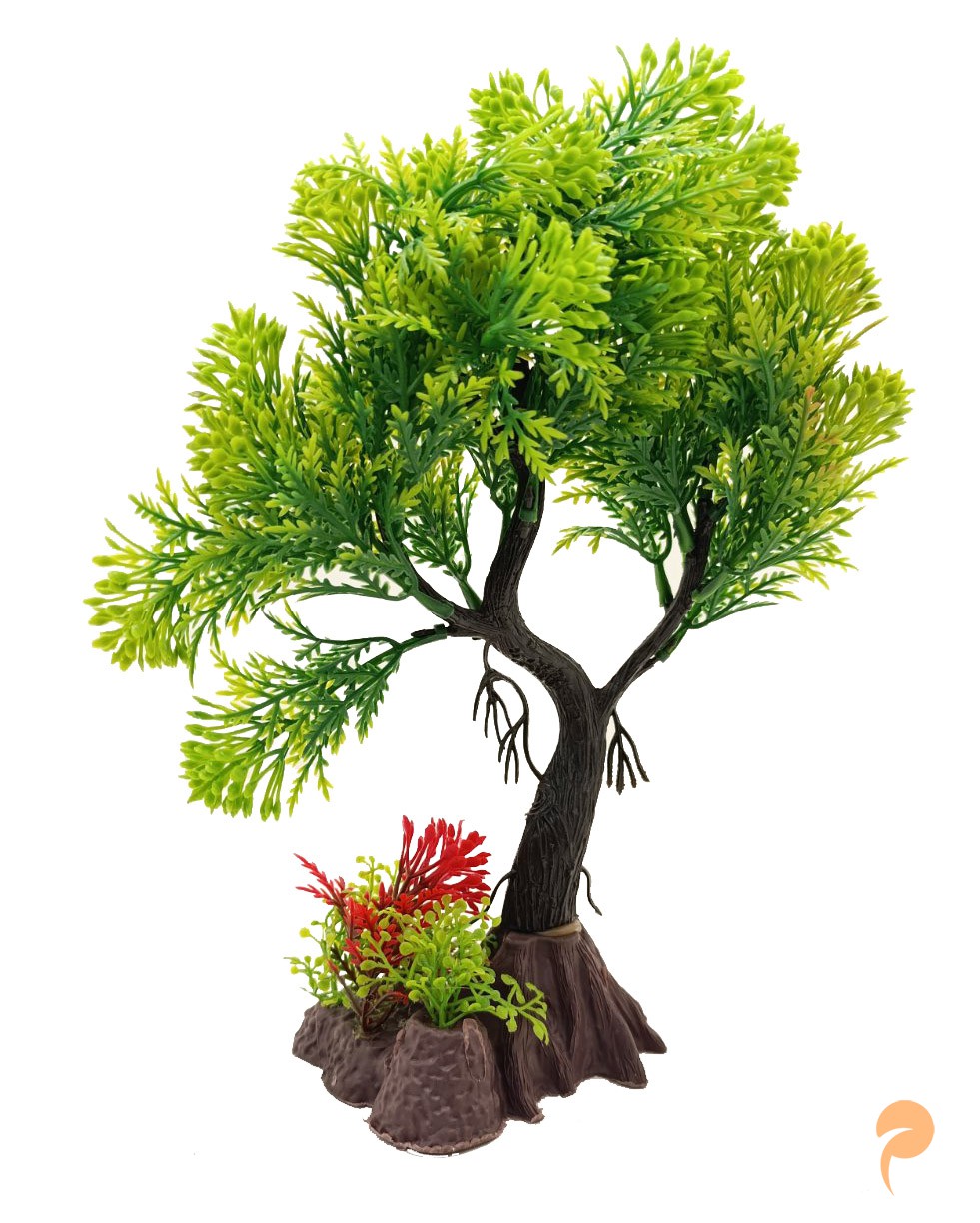 Фото3.Рослина, 8х19х26 см